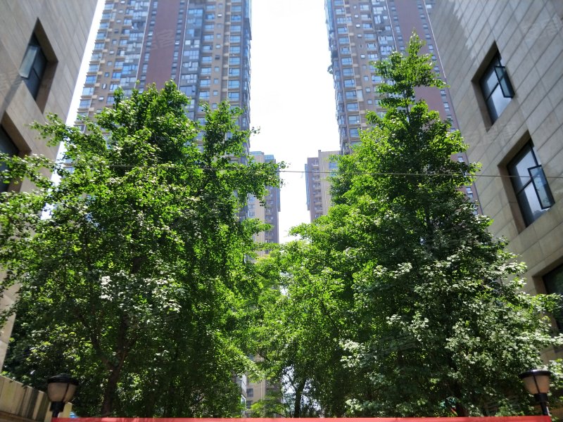 公园九号,东风路57号-长沙公园九号二手房,租房,房价-长沙安居客