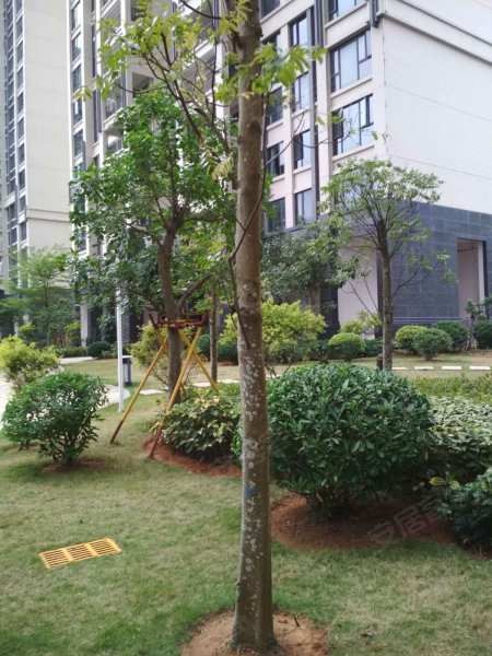 顺江帝景城,体育南路35号-湛江顺江帝景城二手房,租房,房价-湛江安居