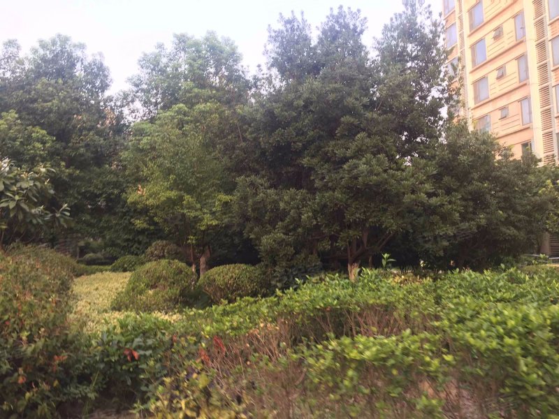 万科四季花城(211弄) 