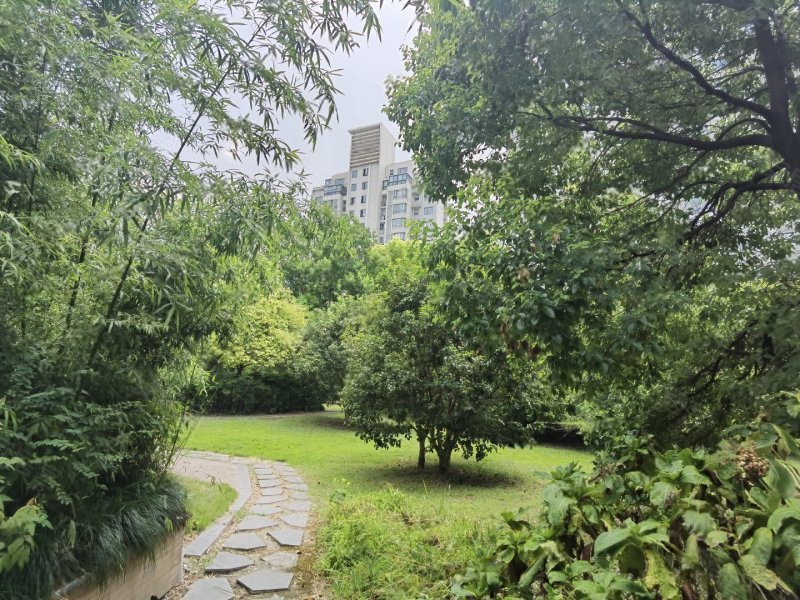 三花现代城丹桂苑