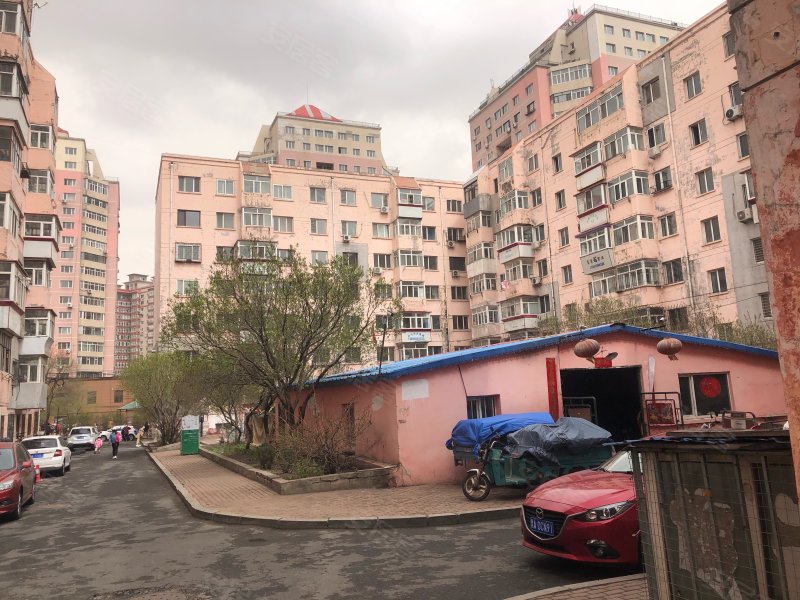 苗圃小区(b区),七政街5号-哈尔滨苗圃小区(b区)二手房,租房,房价