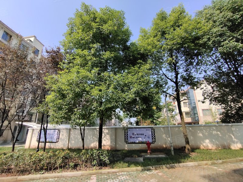 绿地华锦园,巨化路1002号-衢州绿地华锦园二手房,租