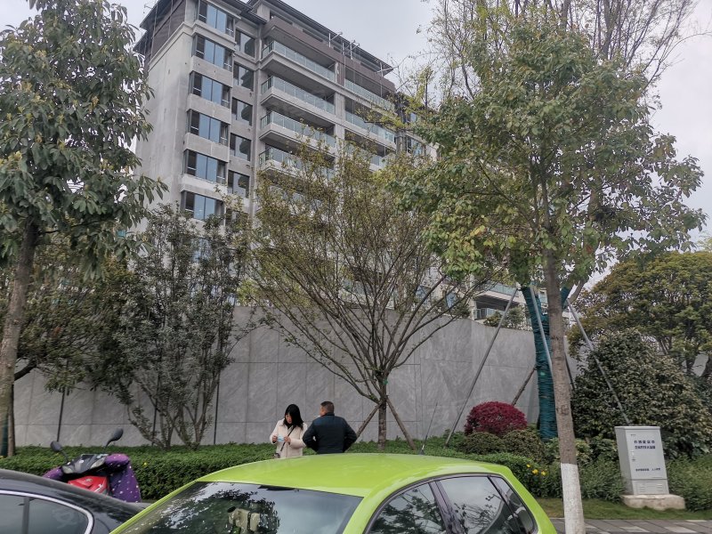 城投置地梧桐集,白塔村五组808号-成都城投置地梧桐集二手房,租房