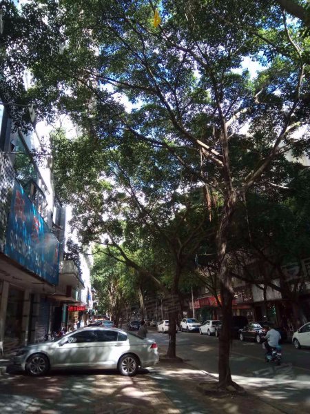 滨江大厦,惠沙堤一路15号-惠州滨江大厦二手房,租房,房价-惠州安居客