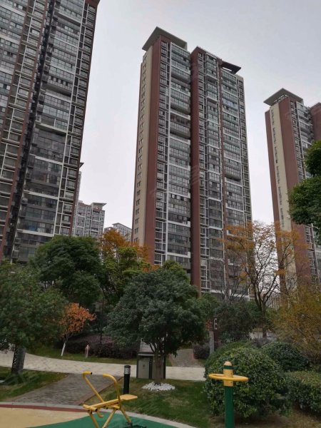 星河国际(二区)