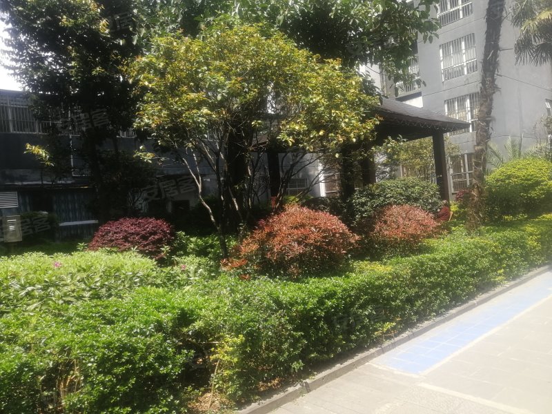 观山悦