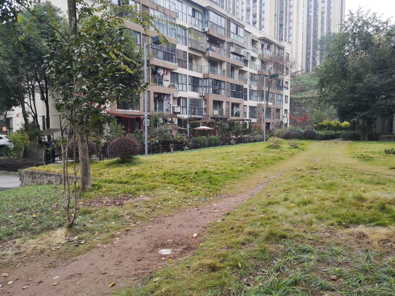 揽江雅苑,虎山路90号-重庆揽江雅苑二手房,租房,房价-重庆安居客