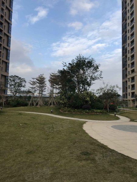 新新蓝郡国际,城西大道58号-泉州新新蓝郡国际二手房,租房,房价-泉州