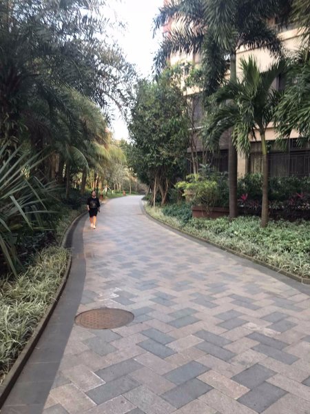 紫园d区,和谐路1号-海口紫园d区二手房,租房,房价-海口安居客