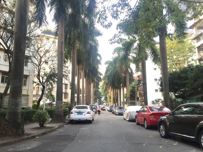 怡景花园(罗湖),怡景路2003号-深圳怡景花园(罗湖)二手房,租房,房价