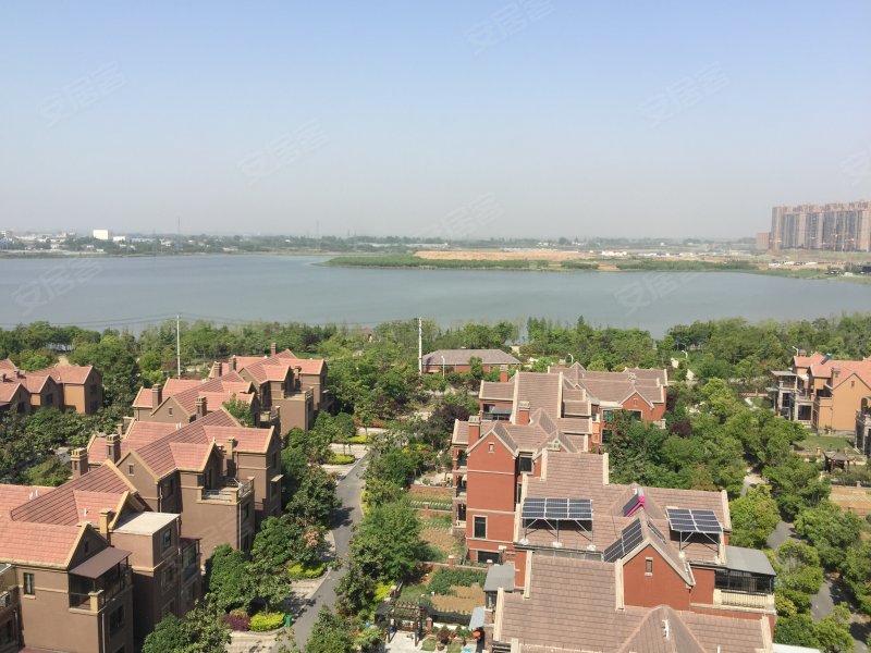 半岛一号(北区别墅),蒙城北路-合肥半岛一号(北区别墅)二手房,租房