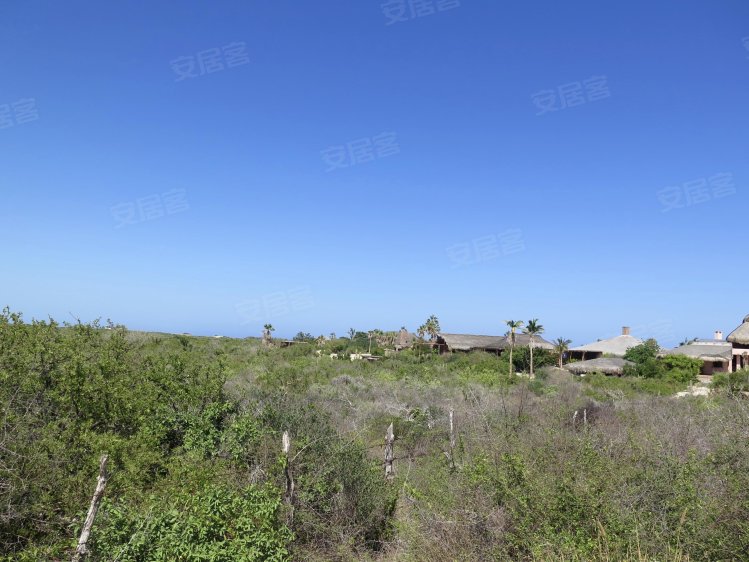 墨西哥约¥129万Land for sale, Ca o Costero, in San José del Cab二手房土地图片