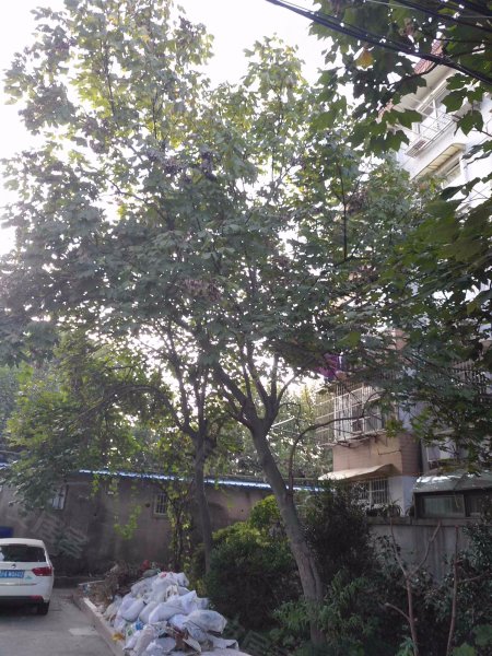 云台路255弄小区 