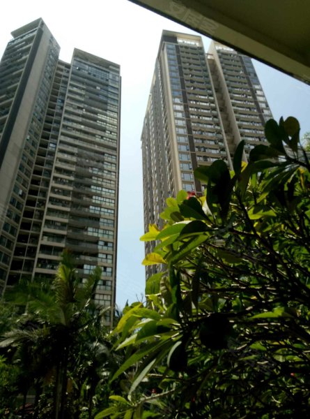 田厦翡翠明珠花园,金鸡路1号-深圳田厦翡翠明珠花园二手房,租房,房价