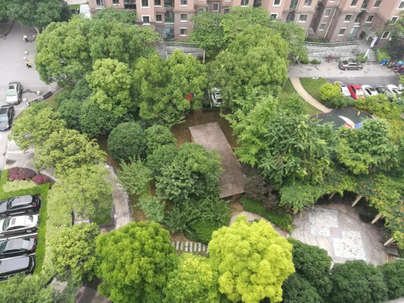 广洋新景苑(公寓住宅),柳杉路99弄-上海广洋新景苑