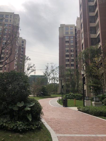 协信星澜汇(四期)