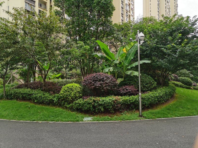 珠江花城扶水岸