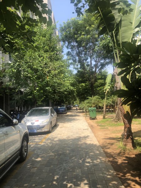 泰和花园,凤凰路165号-三亚泰和花园二手房,租房,房价-三亚安居客