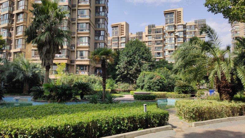 金沙雅苑未来街区