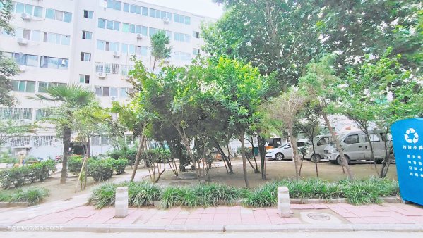 金燕住宅小区2室1厅1卫92.49㎡东西183万