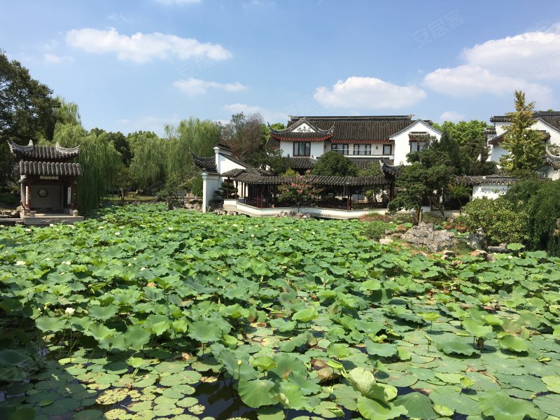 江枫园,枫桥路999号-徐州江枫园二手房,租房,房价-徐州安居客