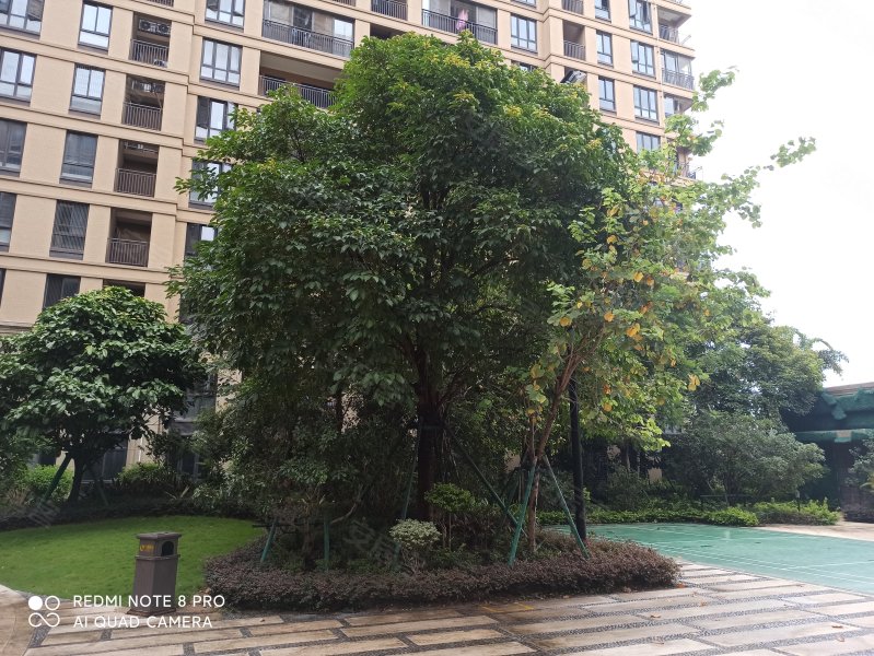 碧桂园水蓝湾,玉津中路-汕头碧桂园水蓝湾二手房,租房,房价-汕头安居