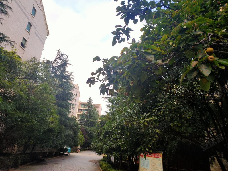 碧海花园,碧海南路267号-贵阳碧海花园二手房,租房,房价-贵阳安居客