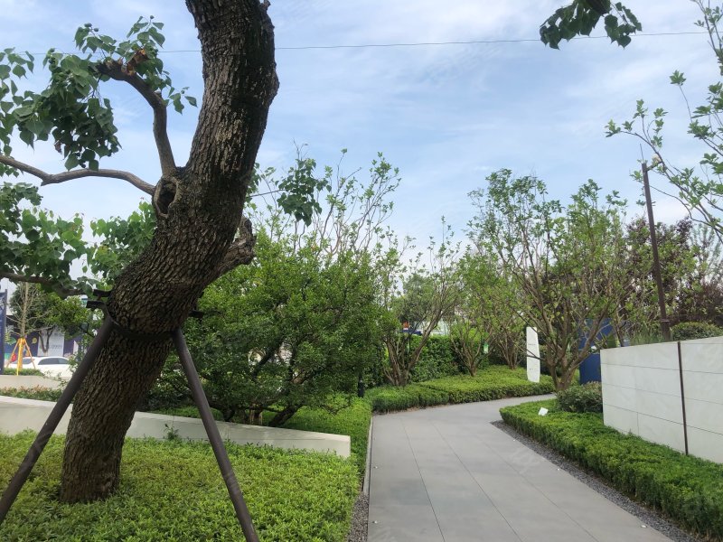 珠江城天悦江湾