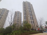 悦珑府 商品住宅 小三房 有电梯 楼龄新 南向采光好