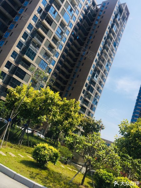 金林湾花园,高林西里1-18号-厦门金林湾花园二手房,租房,房价-厦门