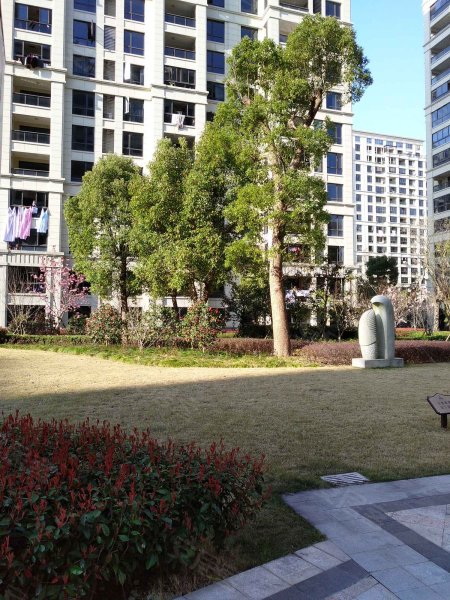 伟星城林景园,七一河路-台州伟星城林景园二手房,租房,房价-台州安居