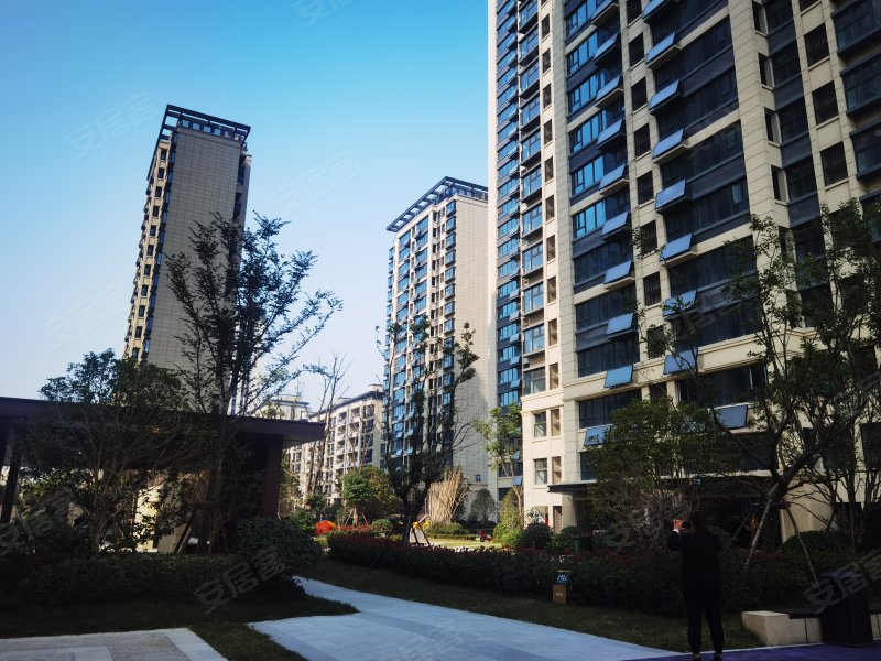 绿地柏仕公馆,烈山路-合肥绿地柏仕公馆二手房,租房,房价-合肥安居客