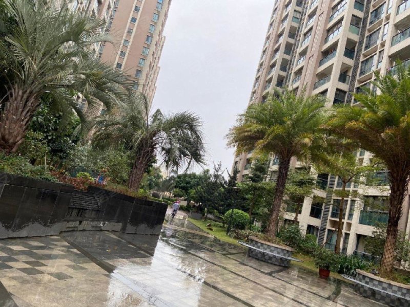 星海华庭,珠江路-汕头星海华庭二手房,租房,房价-汕头安居客