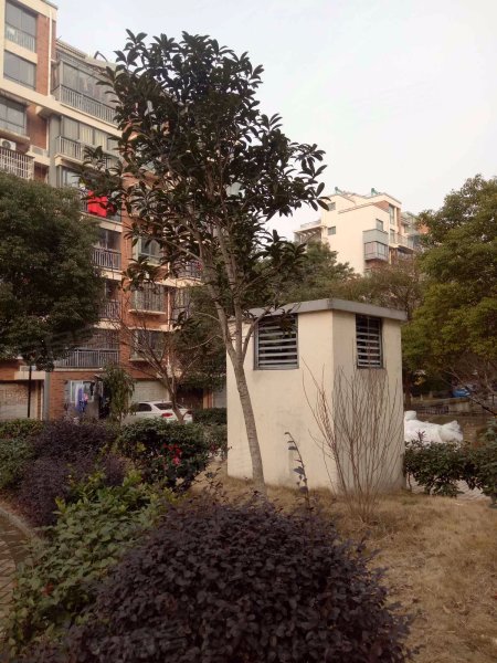 亲亲家园(奉化市),汇茂路-宁波亲亲家园(奉化市)二手房,租房,房价