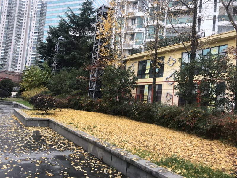 港汇花园,华山路2128号,华山路2118号-上海港汇花园二手房,租房,房价
