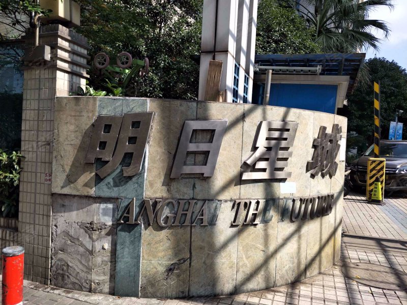 明日星城(一期),河南南路1009弄,河南南路1001弄-上海明日星城(一期)