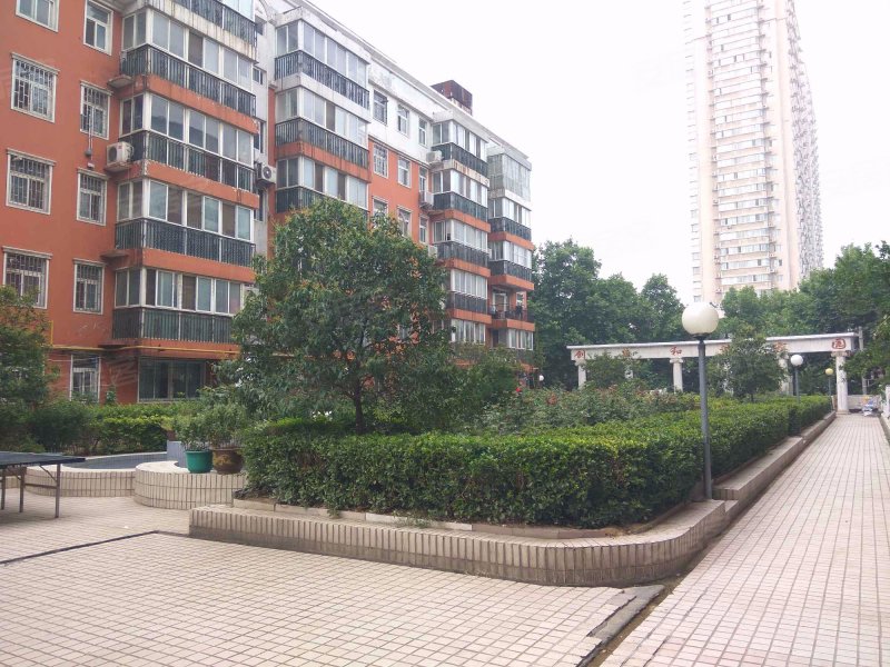 学府花园(二七)