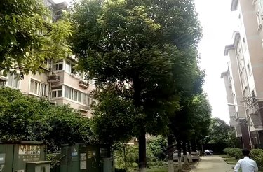 石太路86弄小区