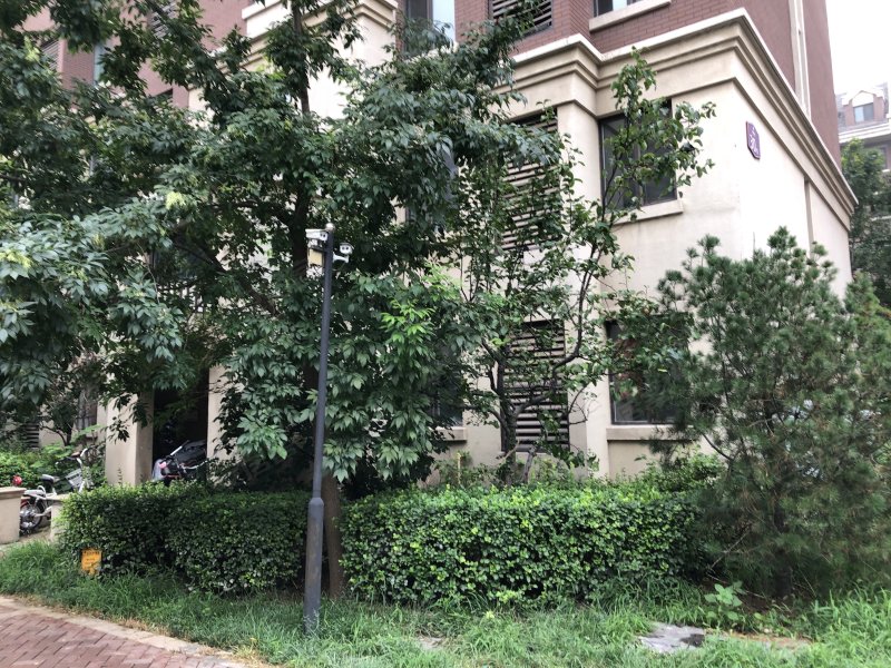 金都花园(武清)