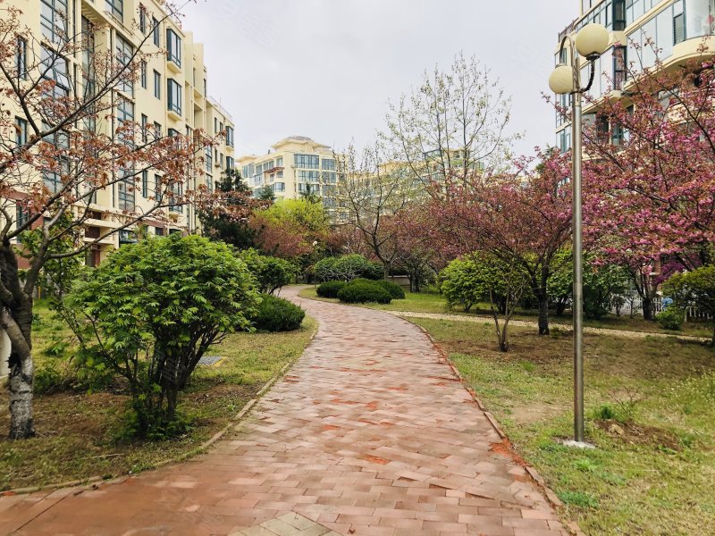 海韵嘉园,嘉陵江东路8号-青岛海韵嘉园二手房,租房,房价-青岛安居客