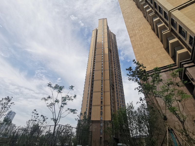 国博新城锦江府,四新南路-武汉国博新城锦江府二手房,租房,房价-武汉