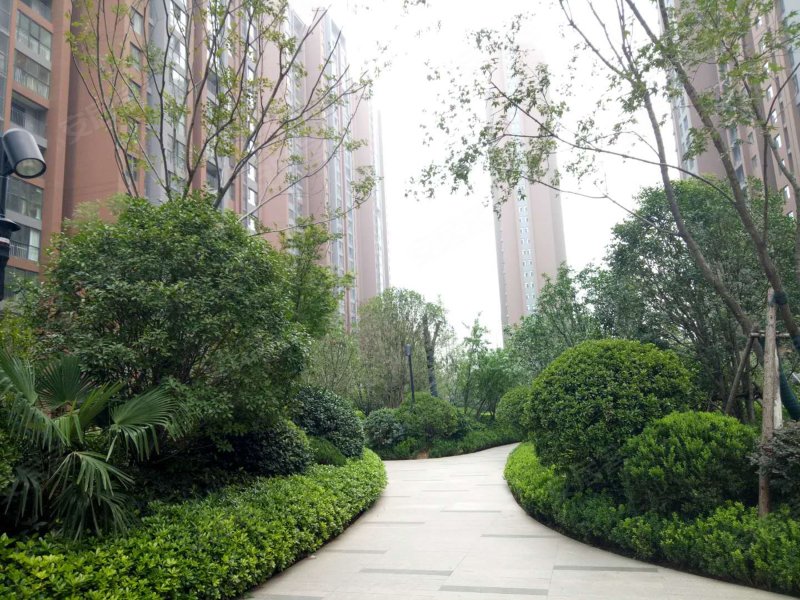 绿都紫荆华庭雅园