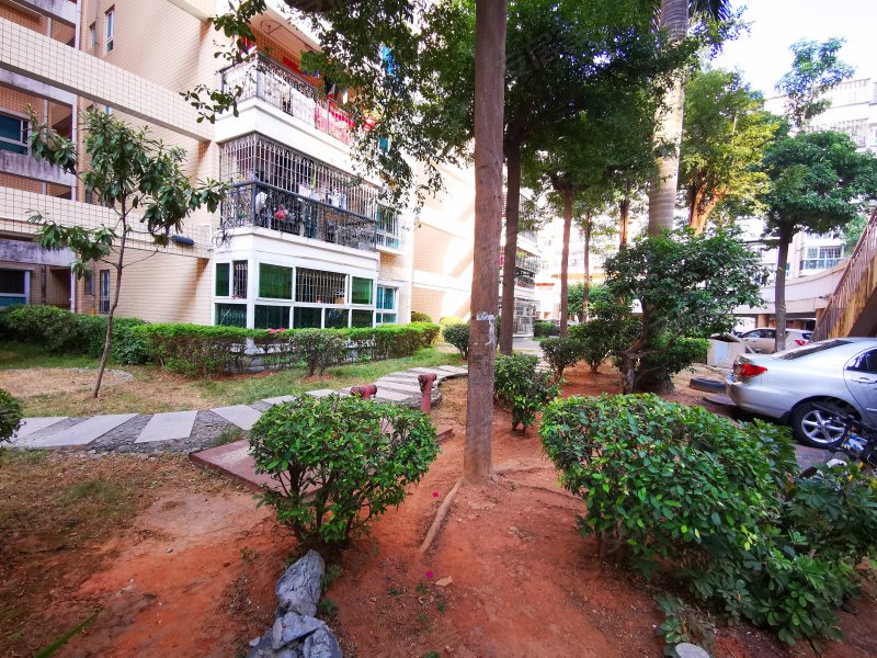 龙腾花园二期,悦华路217-247号-厦门龙腾花园二期二手房,租房,房价