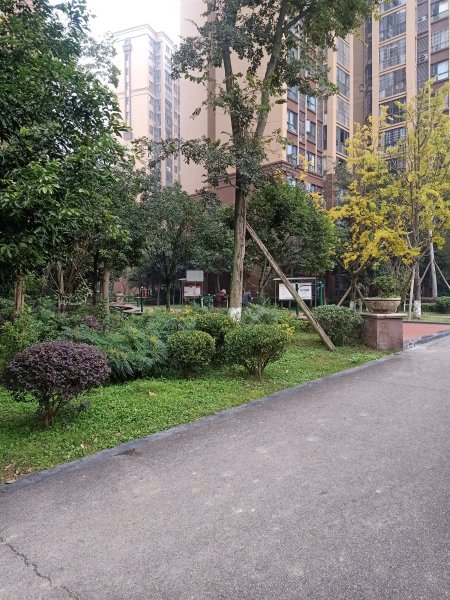 圣特罗佩,名景路200号-资阳圣特罗佩二手房,租房,房价-资阳安居客