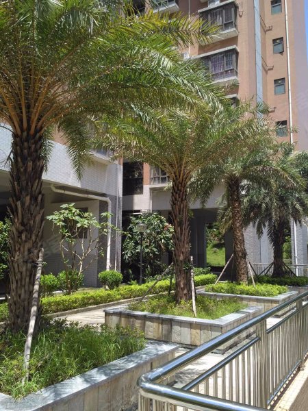 六约新村,红棉路-深圳六约新村二手房,租房,房价-深圳安居客