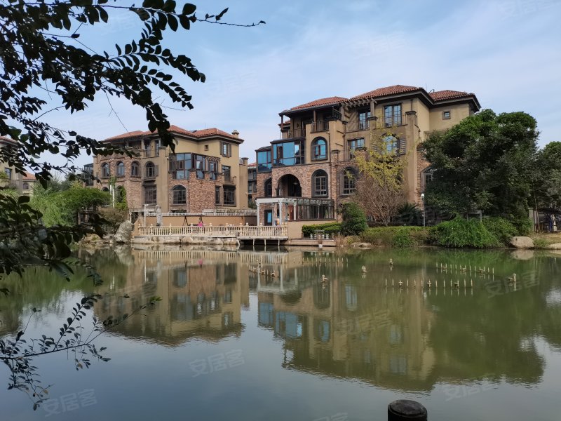 托莱多佩德拉萨,长江西路,近井湖路-铜陵托莱多佩德拉萨二手房,租房