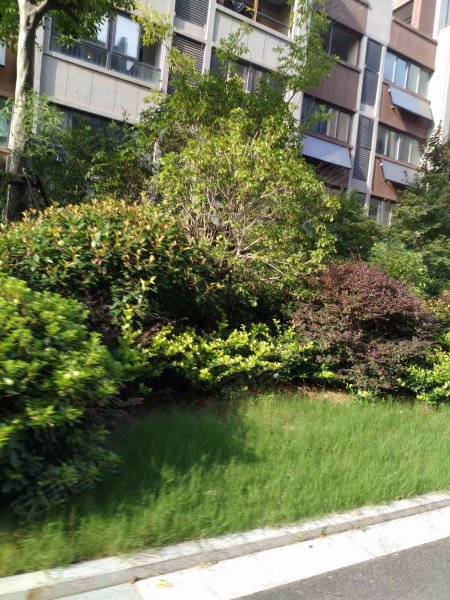 金域华庭,建国西路-徐州金域华庭二手房,租房,房价-徐州安居客