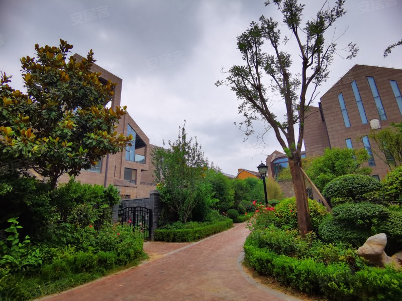 弘润金茂府(别墅)