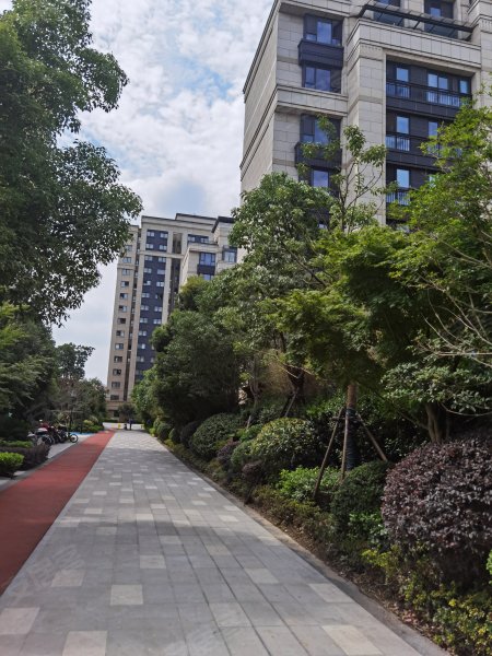 虹桥正荣府,徐和路165弄,联民路100弄-上海虹桥正荣府二手房,租房