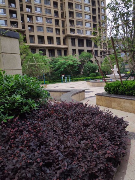 熙城国际熙园,荆河西路-滕州熙城国际熙园二手房,租房,房价-滕州安居